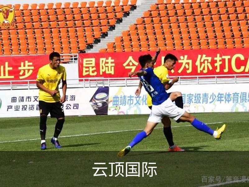 云顶国际简介